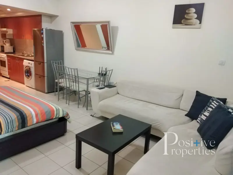 -beautiful-furnished-studio-chiller-free.webp
