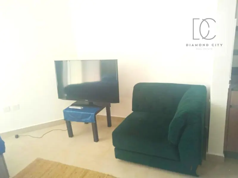 furnished-spacious-studio-large-balcony.webp