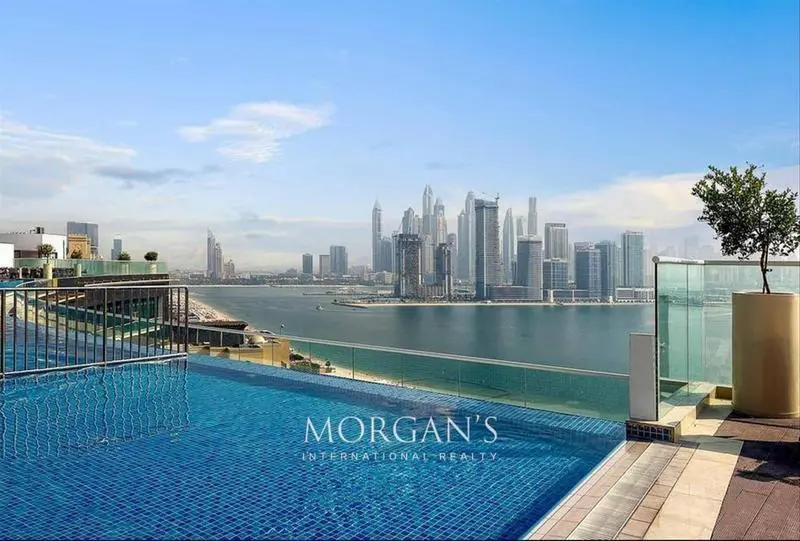 investors-deal-fully-furnished-luxurious.webp