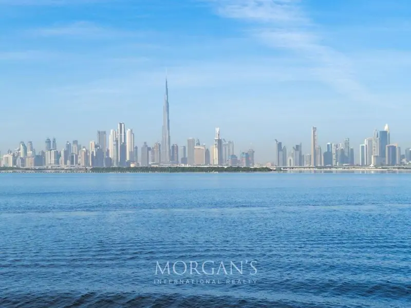 op-price-high-floor-sea-view-dubai-skyline.webp