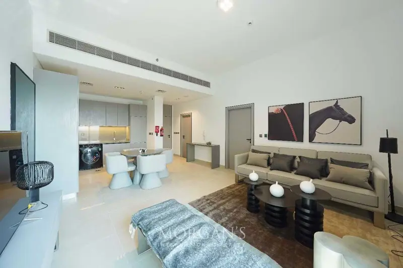 ready-to-move-fully-furnished-brand-new.webp